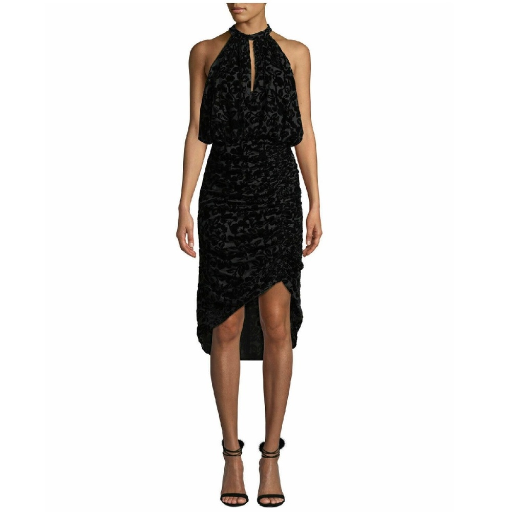 ML Monique Lhuillier Manor Velvet Burnout Dress